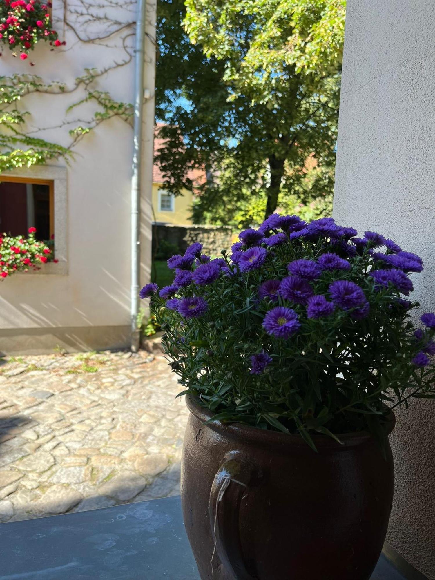 Appartement 5 Predigergasse Bautzen Luaran gambar