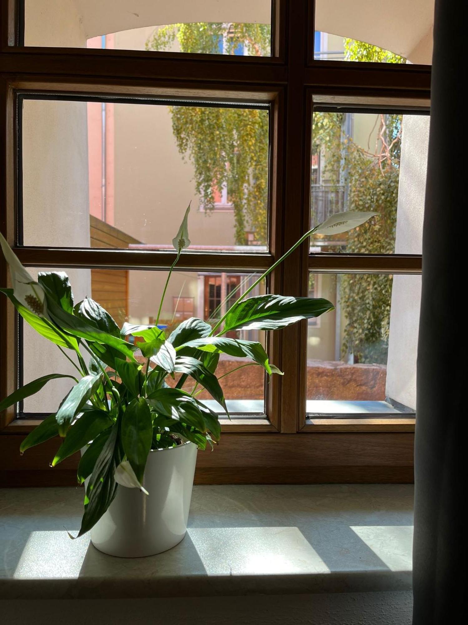 Appartement 5 Predigergasse Bautzen Luaran gambar